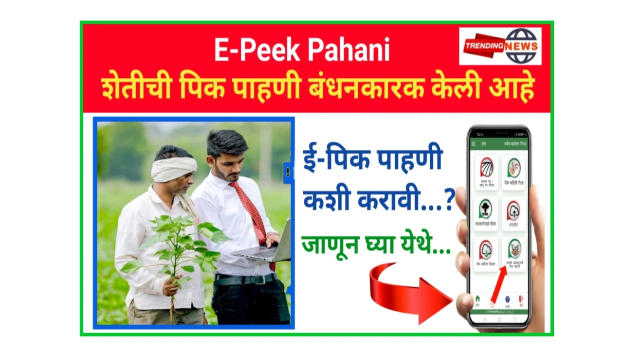 E-Peek Pahani