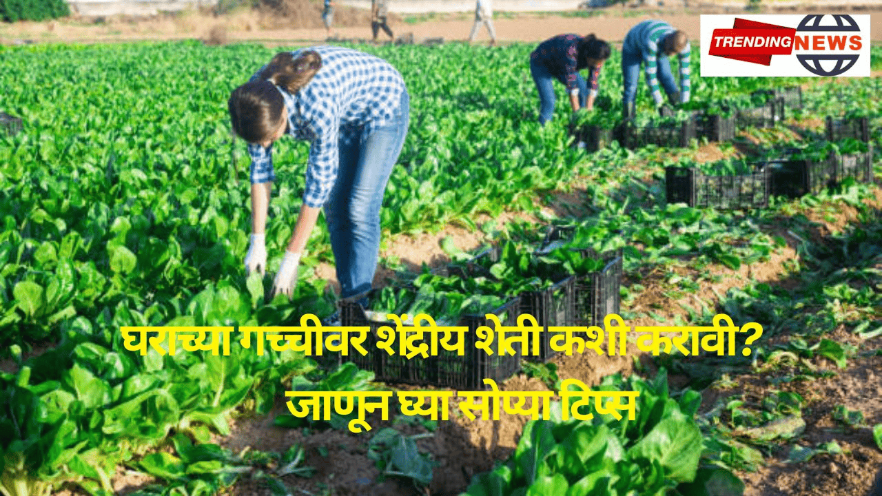 Agriculture News