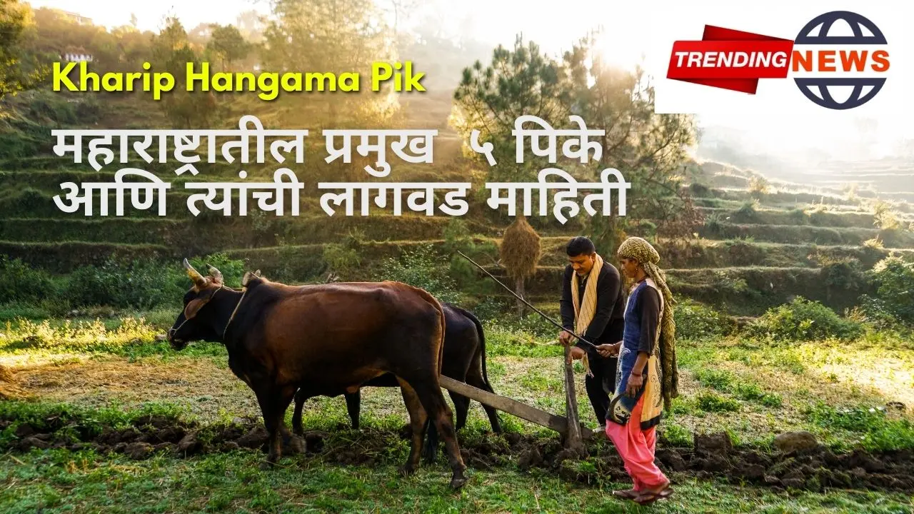 Kharip Hangam Pik